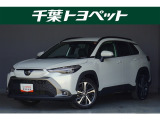 【メイン】 千葉・茨城・埼玉・東京・神奈川での登録、及びご来店いただける方への販売に限らせていただきます。
