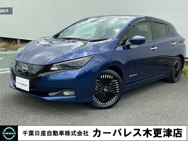 リーフ  X Vセレクション