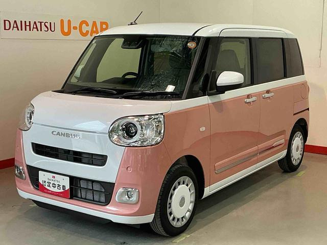 ムーヴキャンバス  ストライプス G