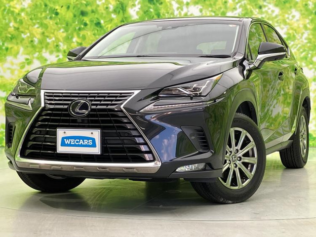 NX 300h Iパッケージ 