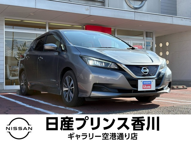 リーフ X
