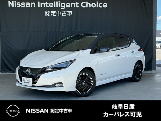 リーフ G 