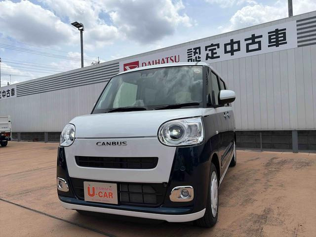 ムーヴキャンバス  ストライプス G