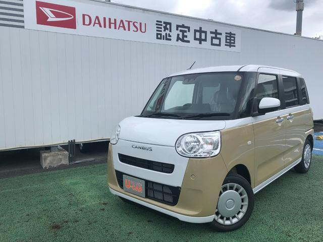 ムーヴキャンバス  ストライプス X
