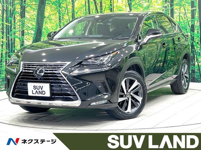 NX 200t Iパッケージ 