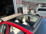 500C ミモザ 
