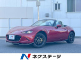 フルエアロ 純正SDナビ バックカメラ 禁煙車 ドラレコ スマートキー