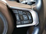 【アダプティブクルーズコントロール】全車速対応のACCやブラインドスポット、レーンキープアシスト機能などを搭載します。ステアリングホイールヒーターも搭載されているタイプになります。