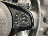 クルーズコントロールを装備しています。高速道路などで一定の速度で走ってくれるので運転が楽ですよ!速度を設定できますので、スピードの出しすぎにも注意できます。