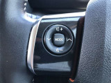 【ステアリングスイッチ】左です。ハンドルから手を離さず、運転に集中したまま手元でオーディオ操作等ができます。