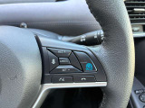 日産の先進技術プロパイロットが付いてます。操作も簡単です。