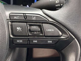 前方の車との車間を設定し、スピードを上げたり緩めたりを自動で行ってくれる追尾式の「レーダークルーズ」。上級装備の一つです!高級車にしかつかない嬉しい機能です。