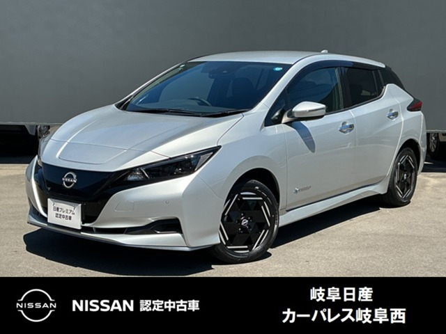リーフ e+ X