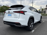 NX 300h Fスポーツ 