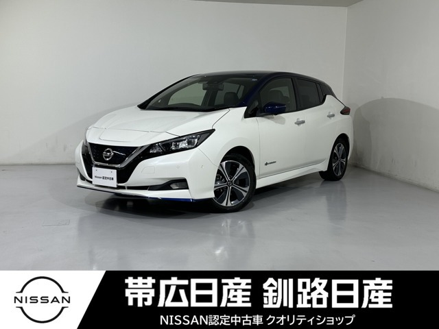 リーフ e+ G 