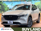 BOSEサウンド 純正10型ナビ 全周囲カメラ レーダークルーズ ETC