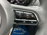 登録した速度に保ち走行するレーダークルーズコントロール付き。高速やバイパスでの運転支援に役立つ便利アイテムです!