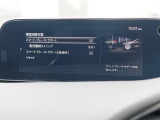 こちらのお車には先進安全装備が多数搭載されています。衝突被害を回避あるいは軽減するためのブレーキや、後方死角からの接近警報、車線逸脱を防止する警報装置など、詳しくはスタッフまでお尋ねください。