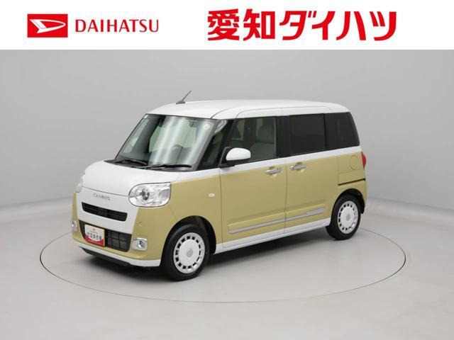 ムーヴキャンバス ストライプス G