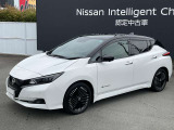 リーフ12セグメント