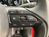前方の車との車間を設定し、スピードを上げたり緩めたりを自動で行ってくれる追尾式の「レーダークルーズ」。上級装備の一つです!高級車にしかつかない嬉しい機能です。