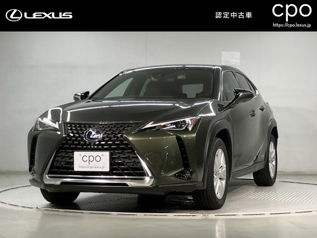 UX 250h バージョンC 