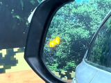 【ブラインドスポットモニター】走行中、ドアミラーの死角になりやすい箇所に後続車が接近するとサイドミラーのレンズに警告を表示!ドライバーに注意喚起をしてくれます。
