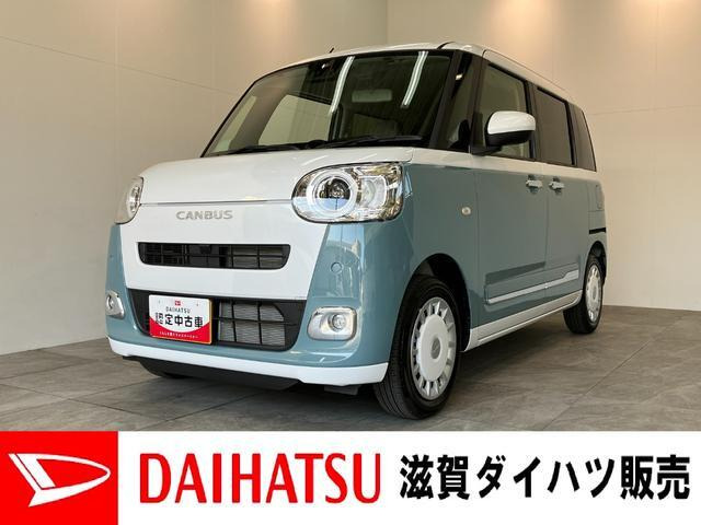 ムーヴキャンバス  ストライプス G