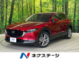 全周囲カメラ スマートブレーキサポート 禁煙車 電動リアゲート