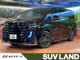 ガラスルーフ 両側電動ドア 後席モニター 全周囲カメラ 100V電源