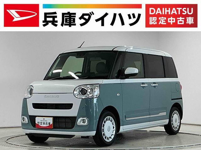ムーヴキャンバス  ストライプス G