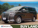 サンルーフ フリップダウンモニター 純正9インチナビ ブラインドスポット
