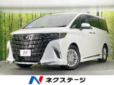 モデリスタ 純正14型ナビ 両側電動ドア バックカメラ 衝突被害軽減