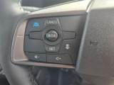 プロパイロット機能付きですので、高速道路での運転をサポートしてくれます
