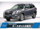 後期型ツーリング!エンジン+モーターのe-BOXERブルーレイディスクが再生できるパナソニックナビ。テレビコントロール付き!