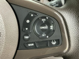 アクセルから足を離しても設定したスピードを保ち走行し、高速道路での疲労軽減に役立つクルーズコントロール付きです!