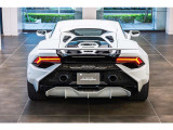 Rear Logo Silver