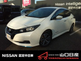 リーフ e+X      ピュアホワイトパール   入荷しました