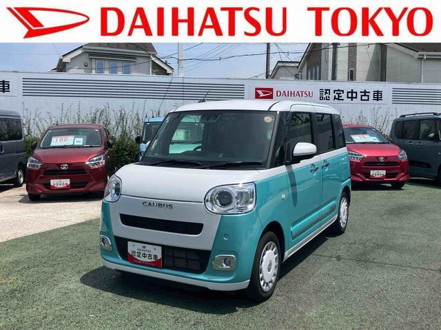 ムーヴキャンバス  ストライプス G