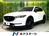 BOSEサウンド メーカー10型ナビ 全周囲カメラ 衝突軽減 ETC