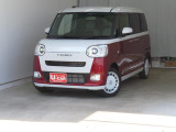 ムーヴキャンバス  ストライプス G
