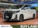 禁煙車 サンルーフ モデリスタ 両側電動ドア バックカメラ 100V電源