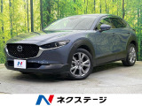 純正8.8型ナビ バックカメラ 衝突被害軽減 レーダークルーズ BSM