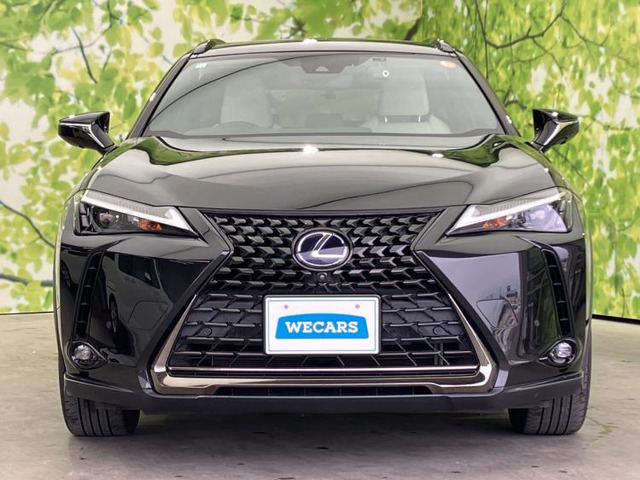 レクサス UX 250h アーバン エレガンス の中古車詳細 (32,620km