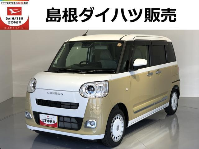 ムーヴキャンバス  ストライプス G