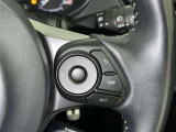ステアリングスイッチ付き。前方から目を離すことなく操作することが可能です。