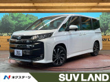 両側電動ドア 10型ディスプレイオーディオ バックカメラ 100V電源