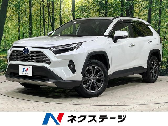 RAV4 2.5 ハイブリッド G E-Four 4WD （6AA-AXAH54）