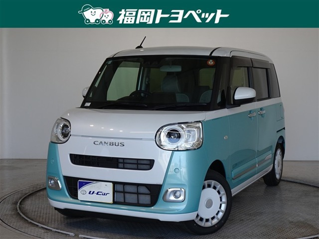ムーヴキャンバス  ストライプス G