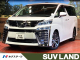 純正10型SDナビ バックカメラ 衝突被害軽減システム レーダークルーズ